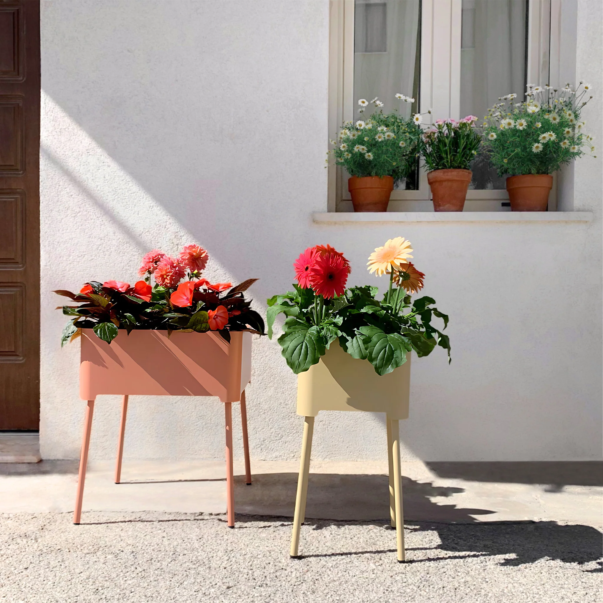 Immagine prodotto 11